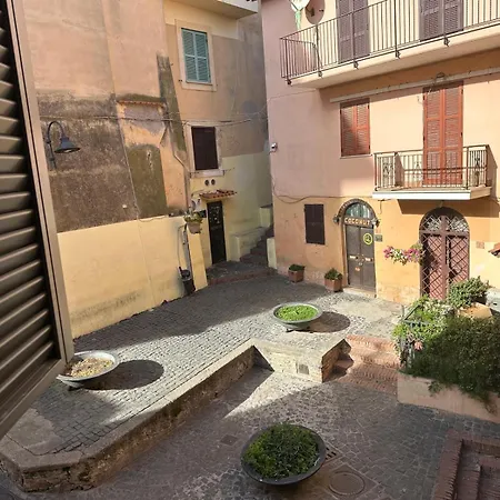 Portland Nettuno